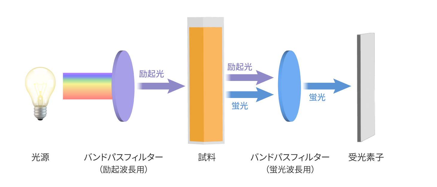 蛍光分析