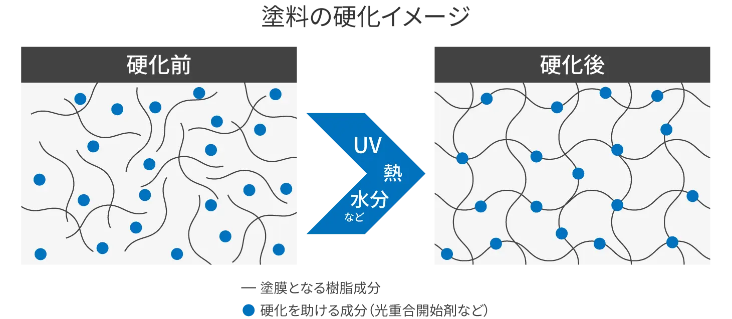 塗料の硬化イメージ